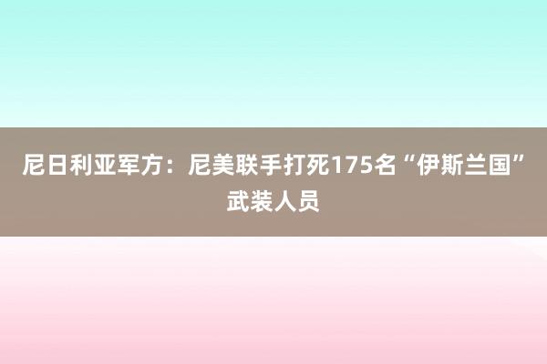 尼日利亚军方：尼美联手打死175名“伊斯兰国”武装人员